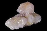 Cactus Quartz (Amethyst) Crystal Cluster - South Africa #137771-1